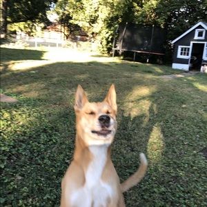 Meet your Posher, Noah